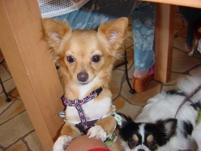 �L���ɂāE�E�܂�������